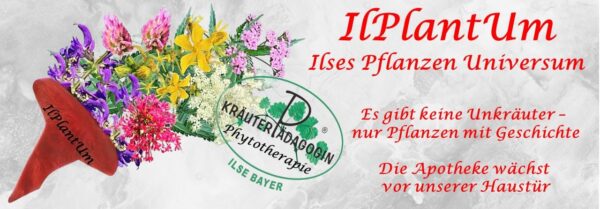 2026 03 27 logo für die website text rechts