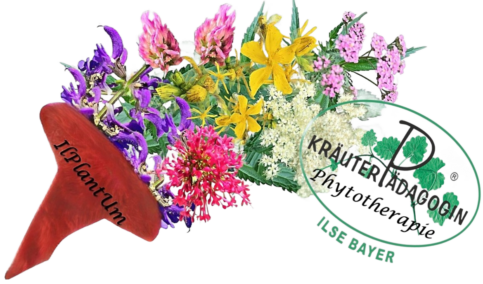 2026 02 08 logo für die website ohne text inpixio