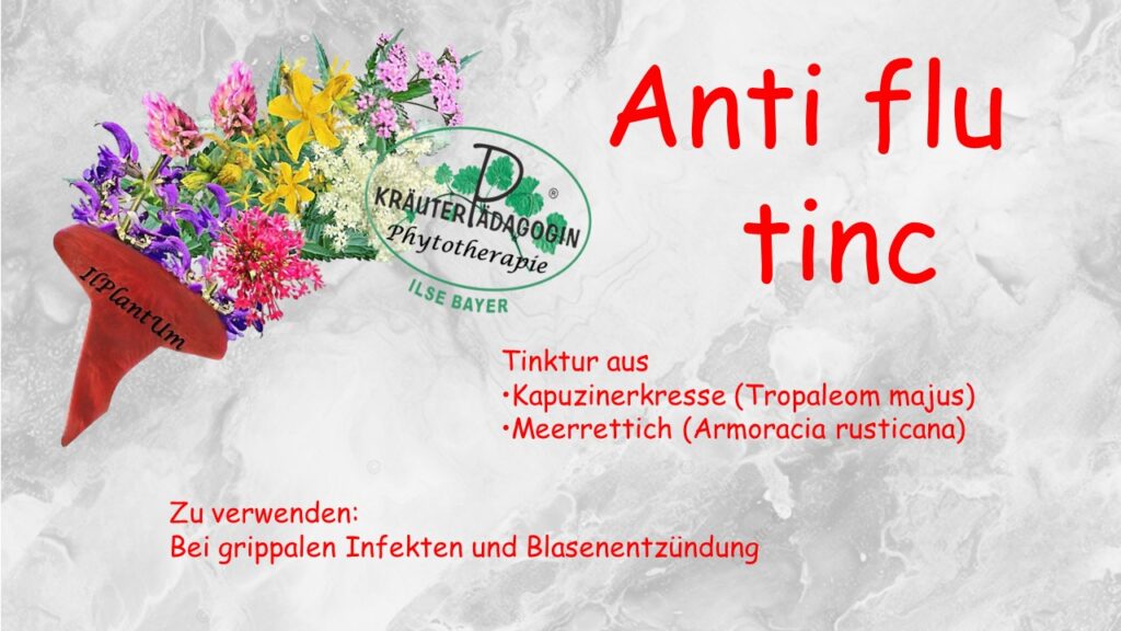 anti flu tinc.