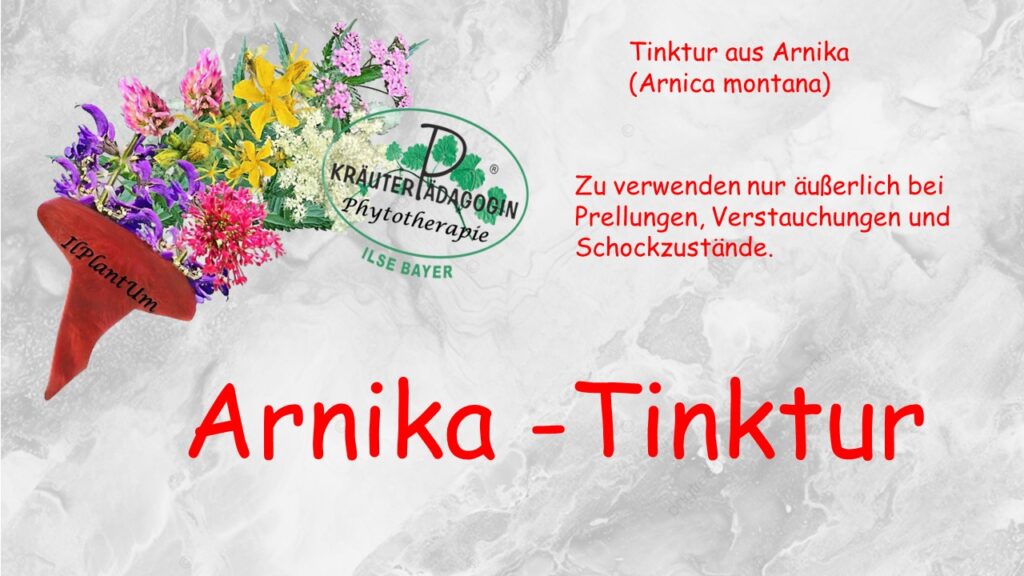 arnika tinktur