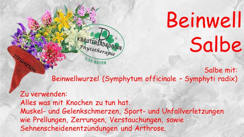 beinwell salbe