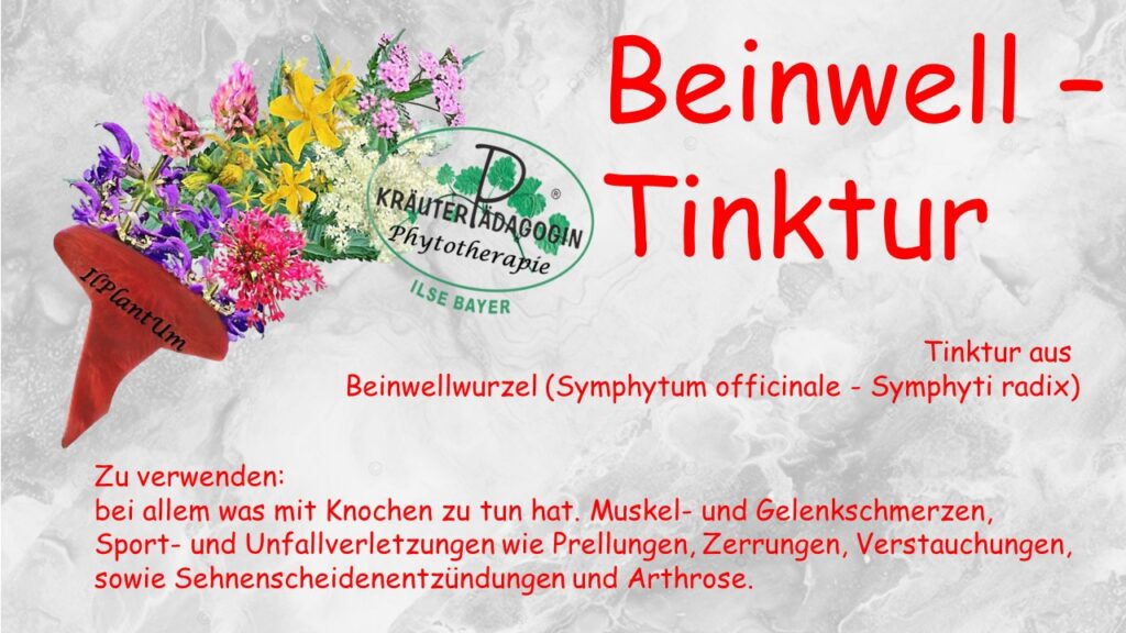 beinwelltinktur