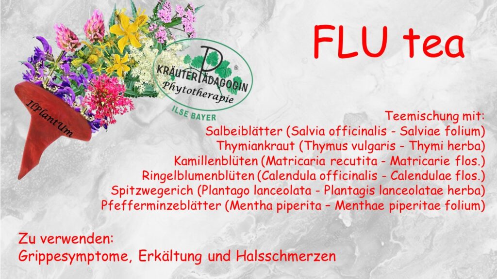 flu tea