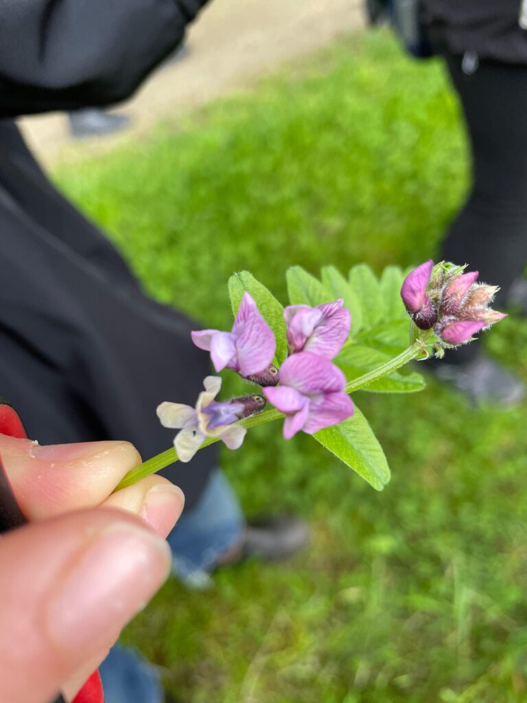 img 20260513 wa0017