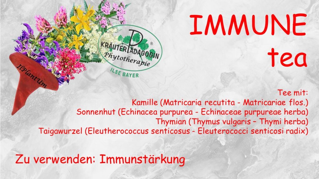 immune tea