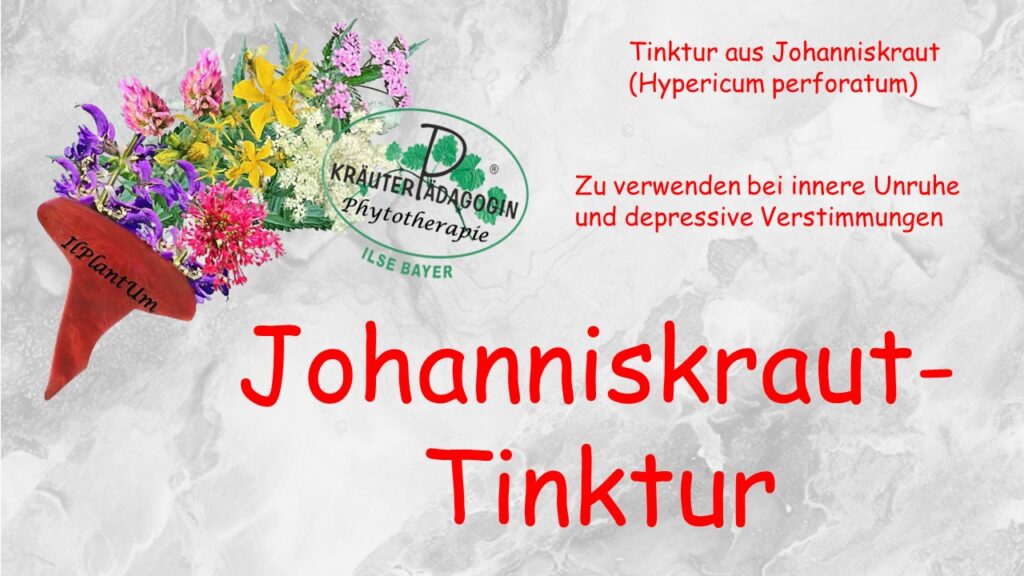johanniskraut tinktur