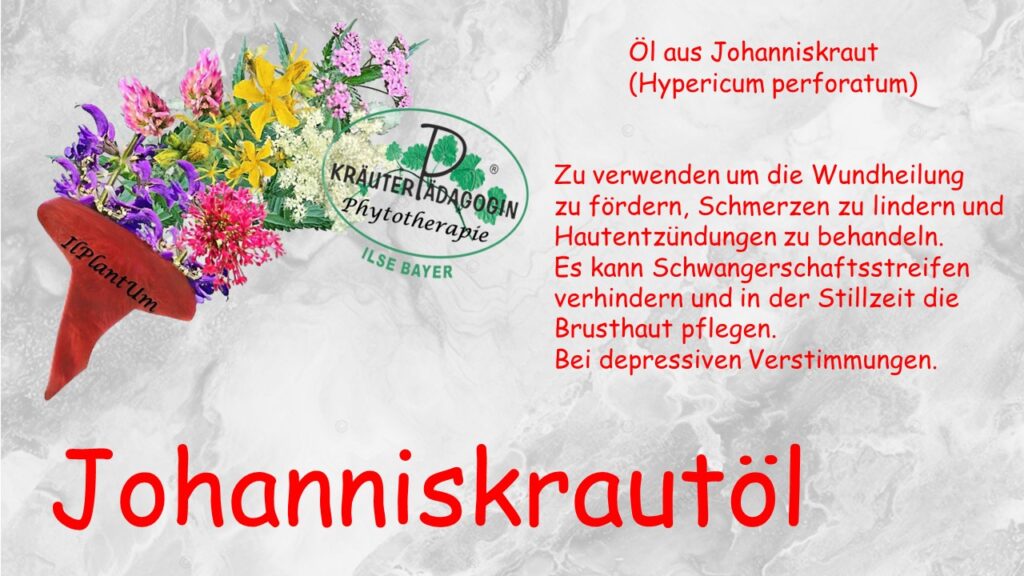 johanniskrautöl