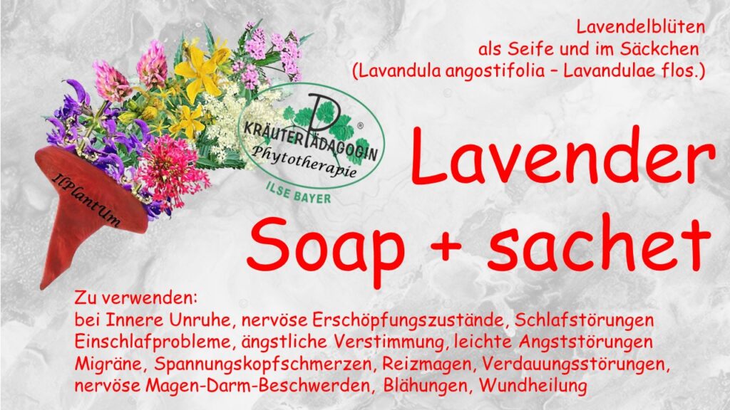 lavendel seife und säckchen