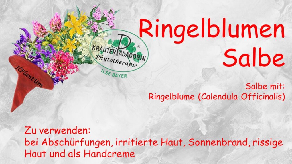 ringelblumen salbe