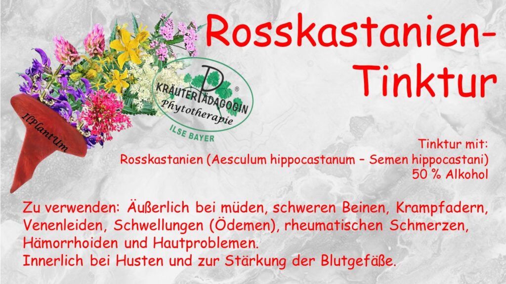 rosskastanien tinktur
