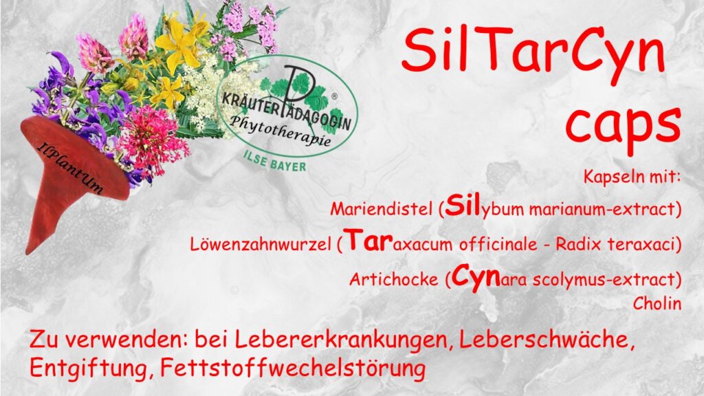 siltarcyn caps
