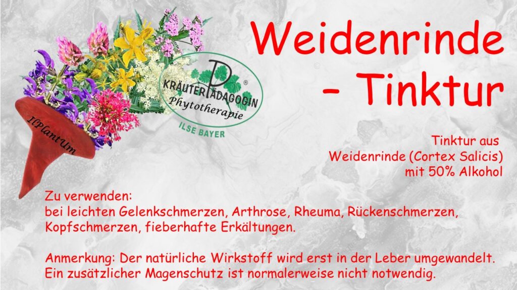 weidenrinde tinktur