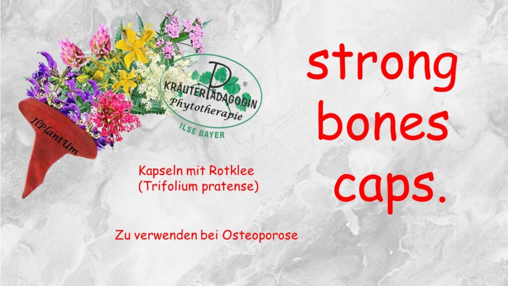 strong bones caps.