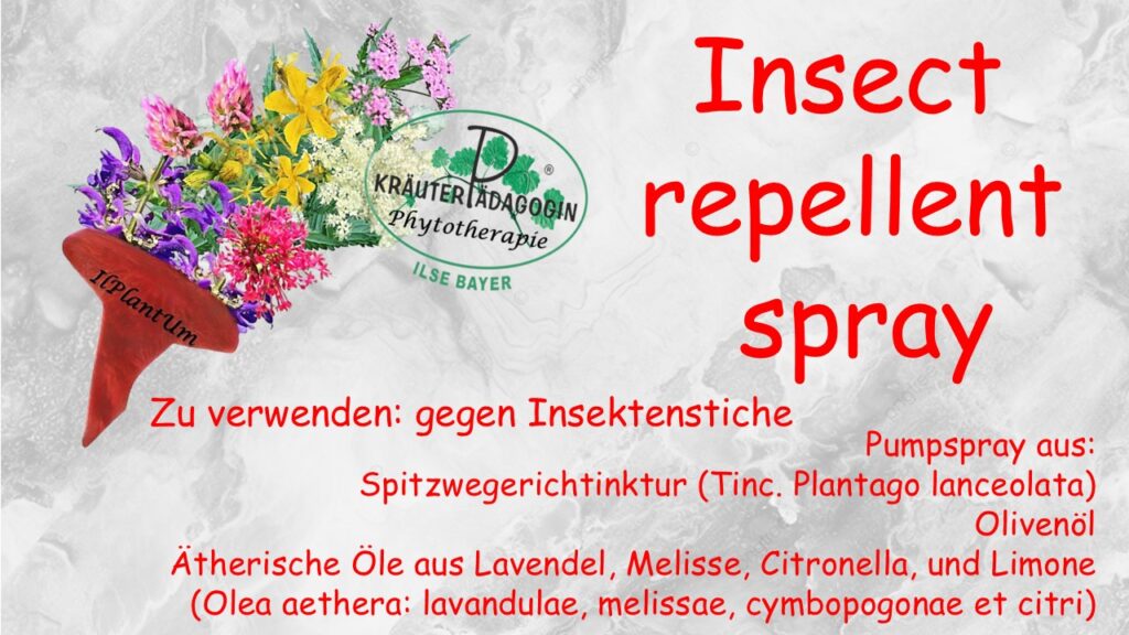 2026 06 28 logo für produktwerbung auf website
