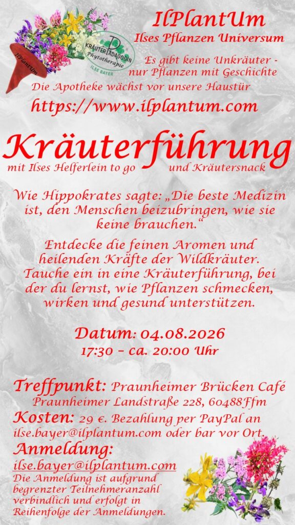 2026 08 04 kräuterführung