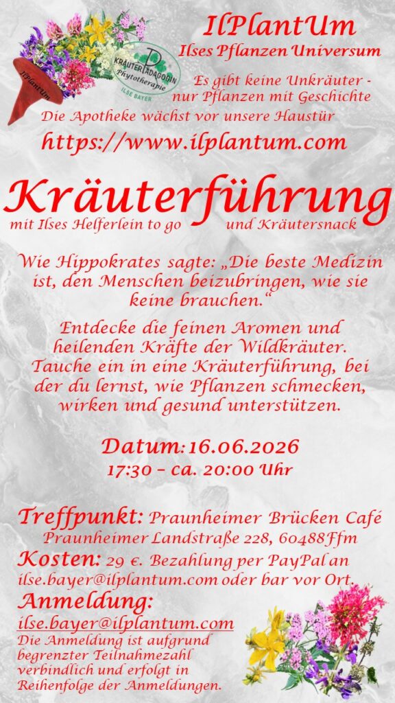 kräuterführung 16.06.2026